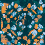 Fleur bleu corail émeraude